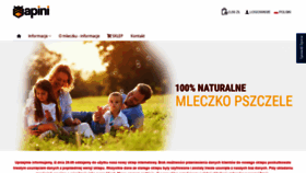 What Apini.pl website looked like in 2020 (3 years ago)
