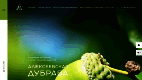 What A-dubrava.ru website looked like in 2020 (3 years ago)
