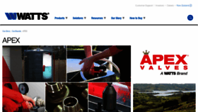 What Apexvalves.co.nz website looked like in 2020 (3 years ago)