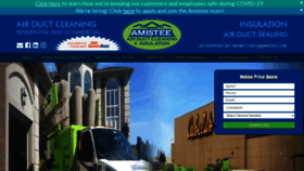 What Amistee.com website looked like in 2020 (3 years ago)