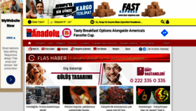 What Anadolugazetesi.net website looked like in 2020 (3 years ago)