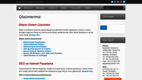 What Alagozbilisim.com website looked like in 2020 (3 years ago)