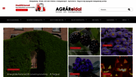 What Agraroldal.hu website looked like in 2020 (3 years ago)