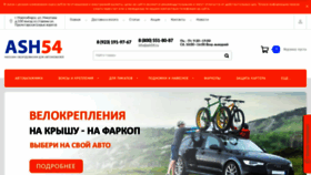 What Ash54.ru website looked like in 2020 (3 years ago)