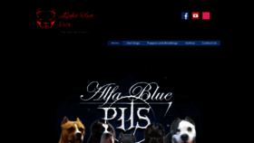 What Alphabluepits.com website looked like in 2020 (3 years ago)