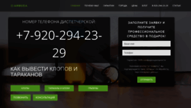 What Arbuza.ru website looked like in 2020 (3 years ago)