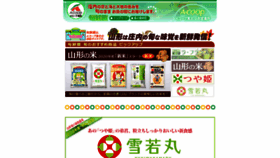 What Acoop-shonai.co.jp website looked like in 2020 (3 years ago)
