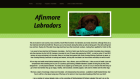 What Afinmore.co.uk website looked like in 2020 (3 years ago)