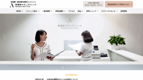 What Akihabara-skin.com website looked like in 2020 (3 years ago)