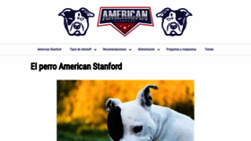 What Americanstanford.com website looked like in 2020 (3 years ago)