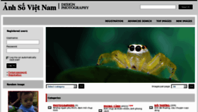 What Anhsovn.com website looked like in 2011 (12 years ago)