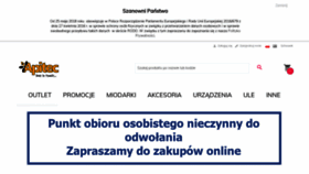 What Apitec.pl website looked like in 2020 (3 years ago)