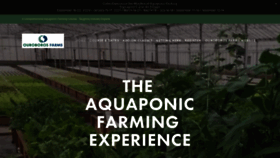 What Aquaponicfarmingexperience.com website looked like in 2020 (3 years ago)