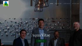 What Aqua-vitaegroup.com website looked like in 2020 (3 years ago)