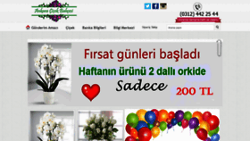 What Ankaracicekbahcesi.com website looked like in 2020 (3 years ago)