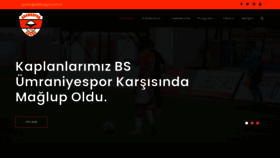 What Adanaspor.com.tr website looked like in 2020 (3 years ago)