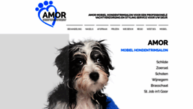 What Amortrimsalon.be website looked like in 2021 (3 years ago)