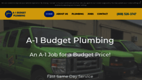 What A1budgetplumbing.com website looked like in 2021 (3 years ago)
