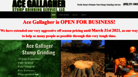 What Acegallagherstumpgrinding.com website looked like in 2021 (3 years ago)