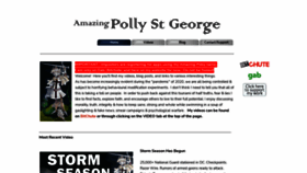 What Amazingpolly.net website looked like in 2021 (3 years ago)