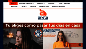 What Aneta.org.ec website looked like in 2021 (3 years ago)