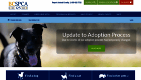 What Adopt.spca.bc.ca website looked like in 2021 (3 years ago)