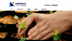 What Aeroboxx.co website looked like in 2021 (3 years ago)
