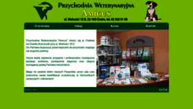 What Amicus-chelm.pl website looked like in 2021 (3 years ago)