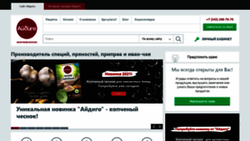 What Aidigo.ru website looked like in 2021 (3 years ago)