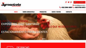 What Agroavicola.cl website looked like in 2021 (2 years ago)