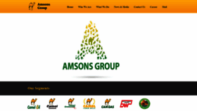 What Amsonsgroup.net website looked like in 2021 (2 years ago)