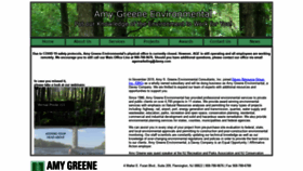 What Amygreen.com website looked like in 2021 (2 years ago)