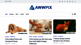 What Awwpix.com website looked like in 2021 (2 years ago)