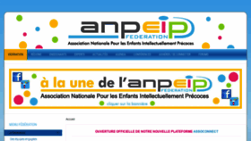 What Anpeip.org website looked like in 2021 (2 years ago)