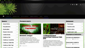 What Aquashrimps.ru website looked like in 2021 (2 years ago)