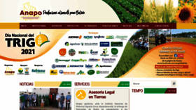 What Anapobolivia.org website looked like in 2021 (2 years ago)