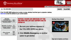 What Ahnow.org website looked like in 2021 (2 years ago)