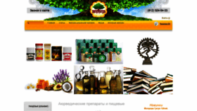 What Ayurvedaplus.ru website looked like in 2021 (2 years ago)