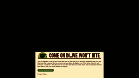 What Alligator.com website looked like in 2021 (2 years ago)