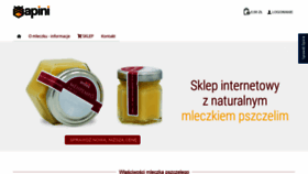 What Apini.pl website looked like in 2021 (2 years ago)