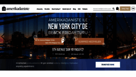 What Amerikadaniste.com website looked like in 2021 (2 years ago)