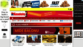 What Anadolugazetesi.net website looked like in 2021 (2 years ago)