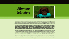 What Afinmore.co.uk website looked like in 2022 (2 years ago)