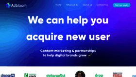 What Adbloom.co website looked like in 2022 (2 years ago)