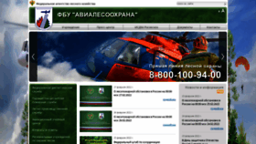 What Aviales.ru website looked like in 2022 (3 years ago)