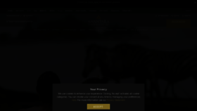 What Anantara.com website looked like in 2022 (2 years ago)