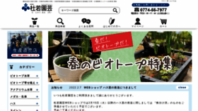 What Akb.jp website looked like in 2022 (2 years ago)