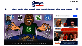 What Artigercek.com website looked like in 2022 (2 years ago)