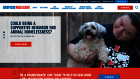 What Americanpetsalive.org website looked like in 2022 (2 years ago)