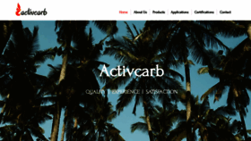 What Activcarb.com website looked like in 2022 (2 years ago)